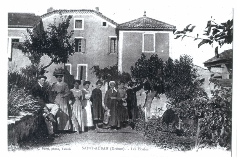 Spotlight Image