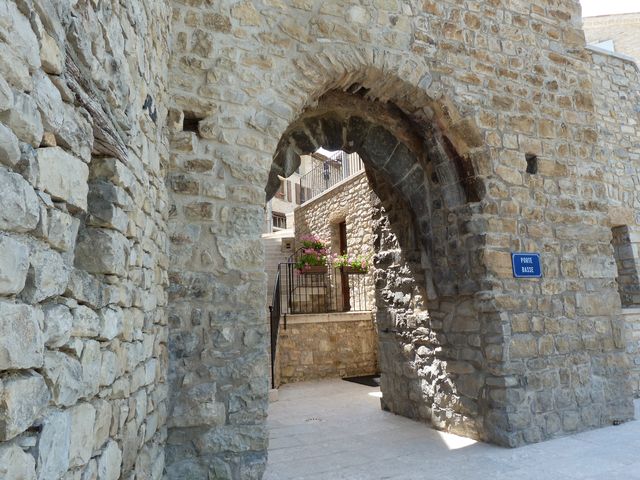 m p1000877